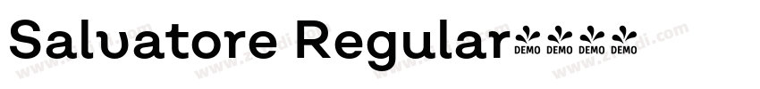 Salvatore Regular字体转换